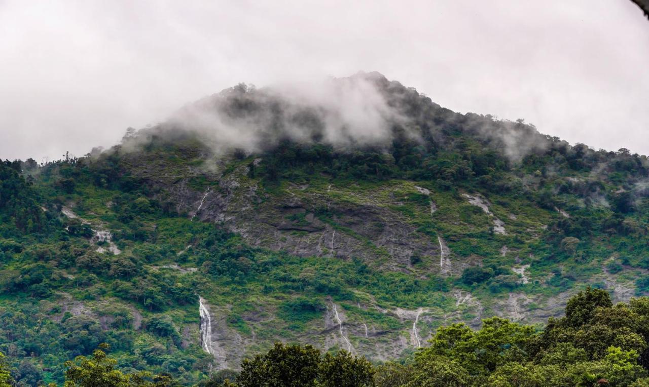 Treebo Trend Misty Garden Resorts With Mountain View Munnar Ngoại thất bức ảnh