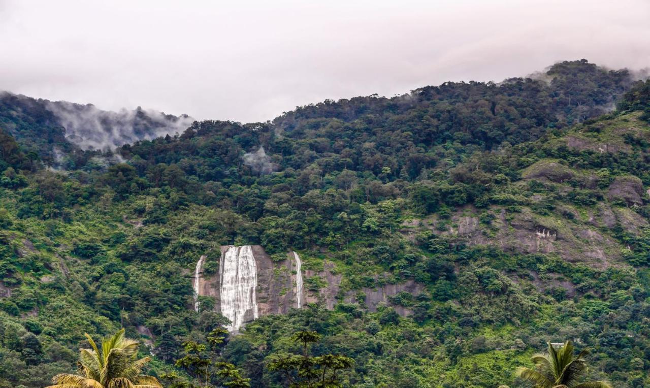 Treebo Trend Misty Garden Resorts With Mountain View Munnar Ngoại thất bức ảnh